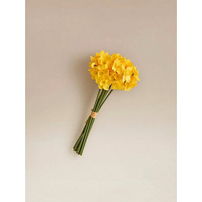 George Home Artificial Daffodils