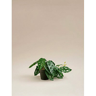 George Home Monkey Mask