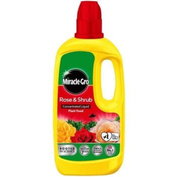 Miracle-Gro Rose & Shrub Concentrate Liquid Plant Food (800ml)