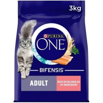 Purina ONE Adult Salmon & Whole Grain Dry Cat Food (3kg)