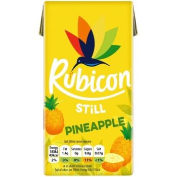 Rubicon Pineapple Juice Drink (288ml)