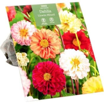 Tesco Dahlia Unwin Mixed