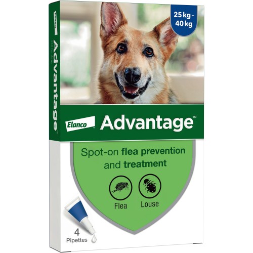 Advantage Spot-On Flea Treatment For Dogs 25.0-80Kg (4)