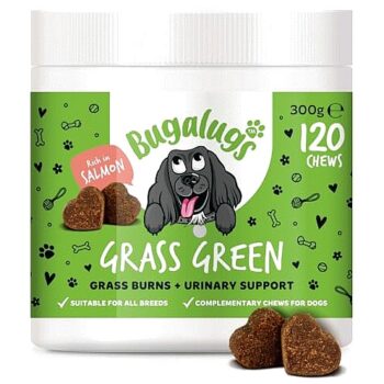Bugalugs Grass Green Chews For Dogs (120 x 300g)