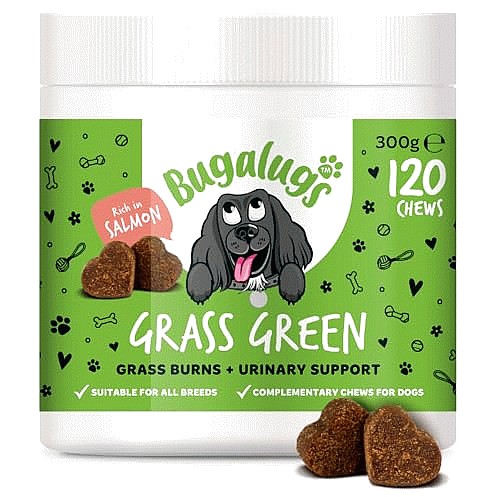 Bugalugs Grass Green Chews For Dogs (120 x 300g)