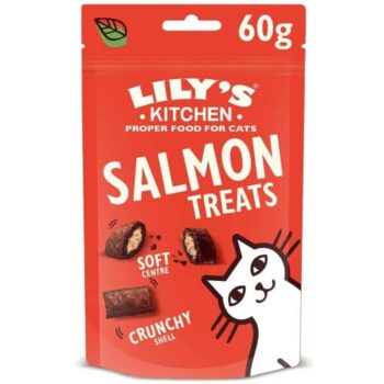 Lily's Kitchen Salmon Pillow Treats for Cats (60g)