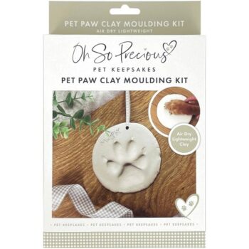 Oh So Precious Clay Paw Moulding Kit