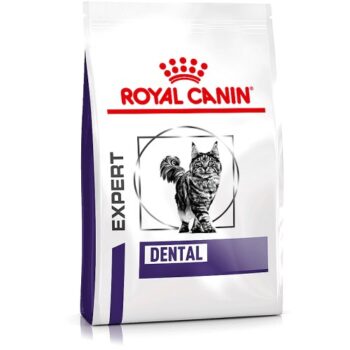 Royal Canin Expert Dental Adult Dry Cat Food